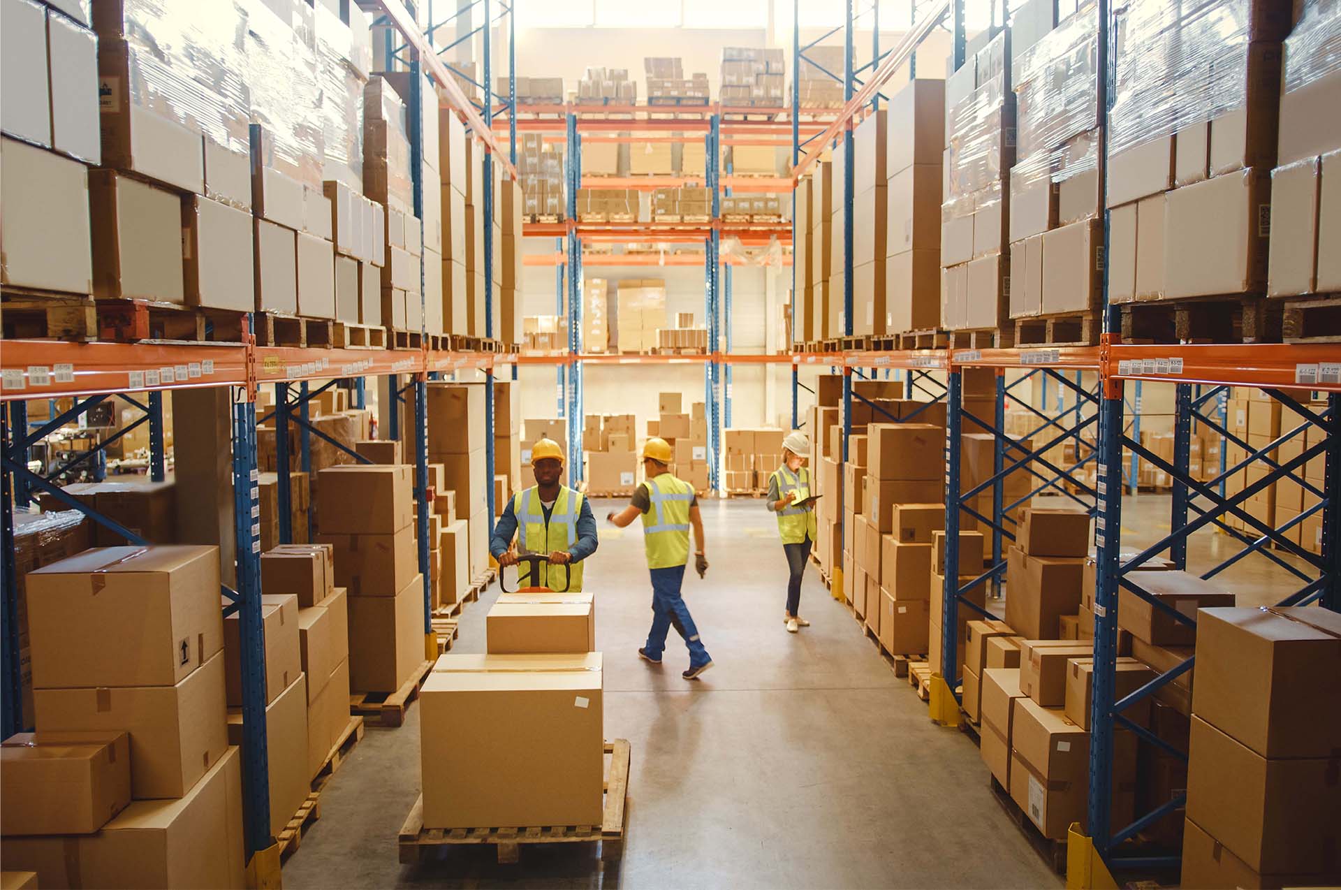 Inventory Management Software
